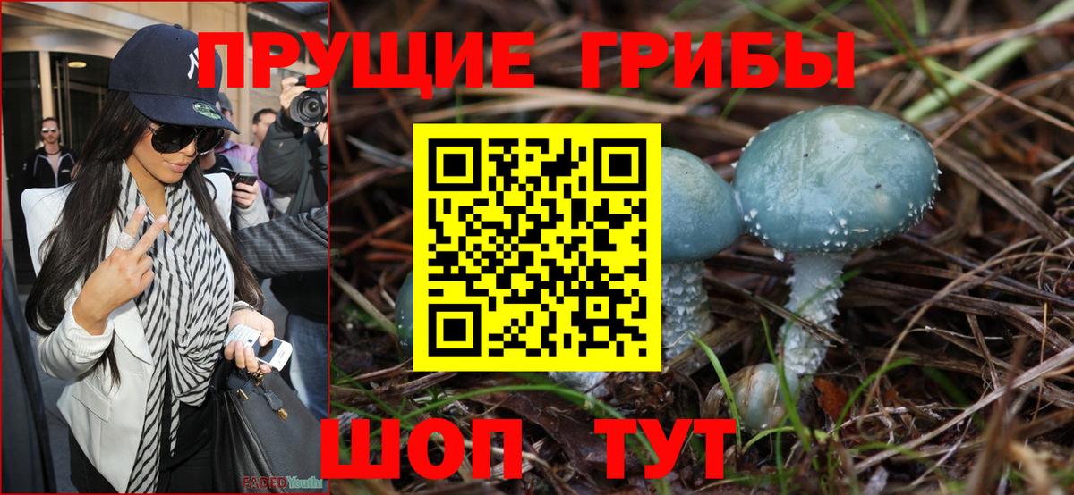 Галлюциногенные грибы ЛСД Усть-Джегута