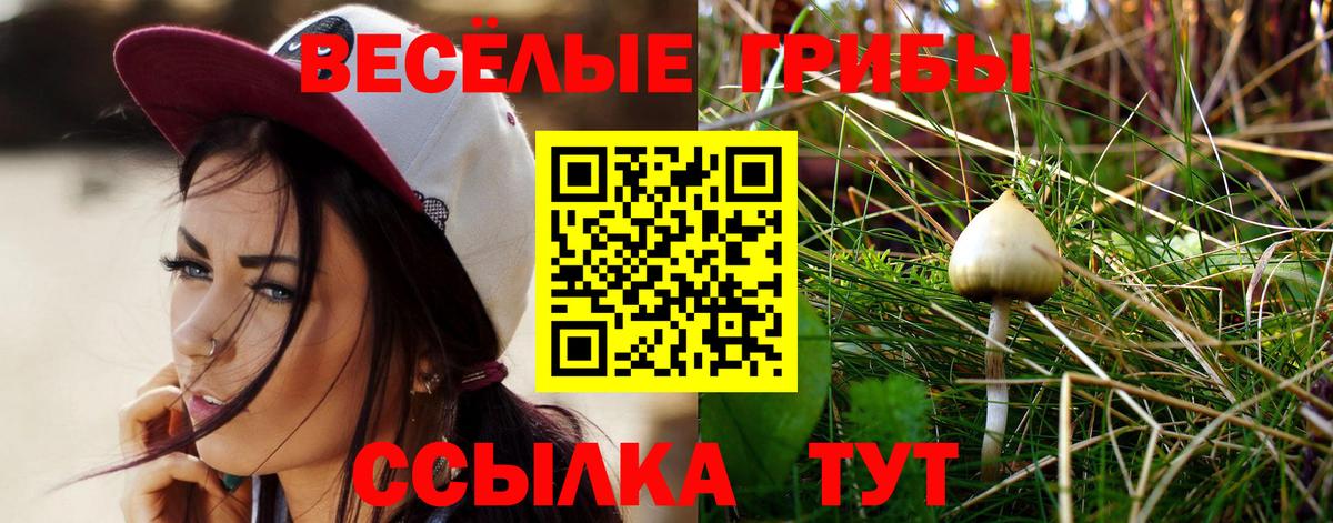 Псилоцибиновые грибы мицелий  Вход с VPN  Усть-Джегута 